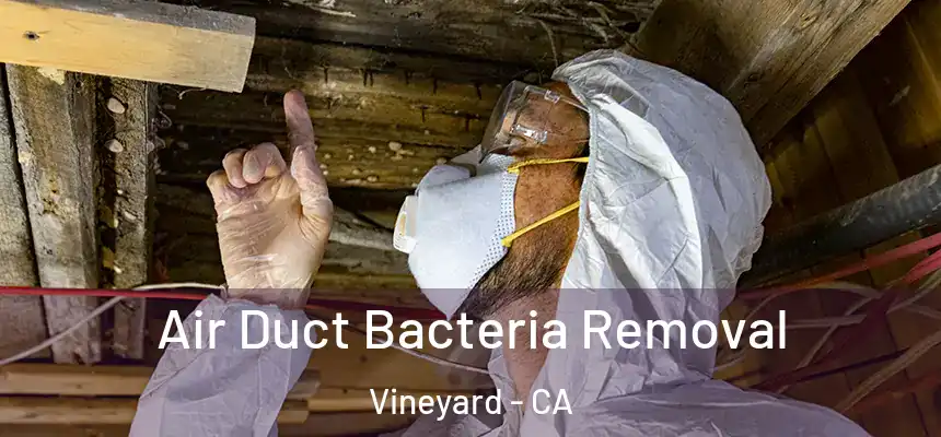  Air Duct Bacteria Removal Vineyard - CA
