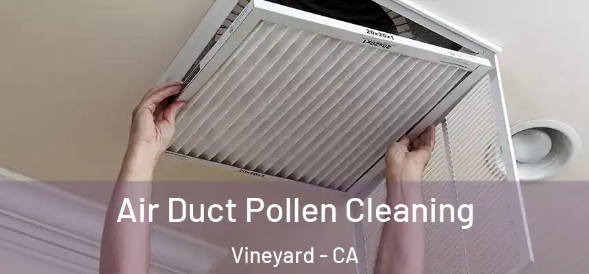  Air Duct Pollen Cleaning Vineyard - CA