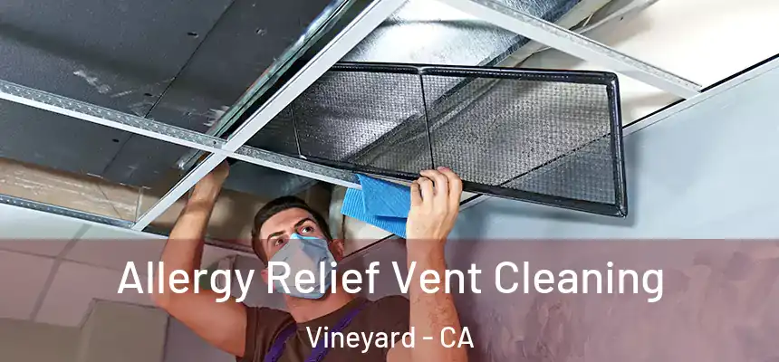  Allergy Relief Vent Cleaning Vineyard - CA