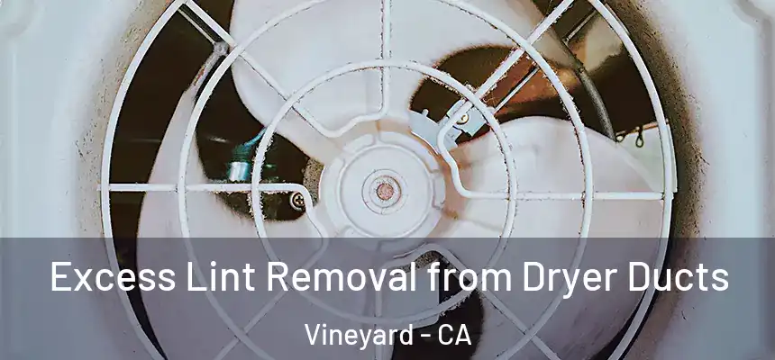 Excess Lint Removal from Dryer Ducts Vineyard - CA