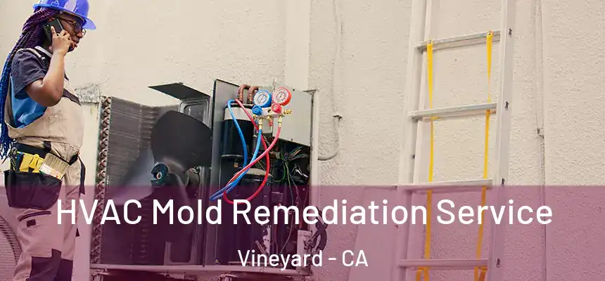  HVAC Mold Remediation Service Vineyard - CA