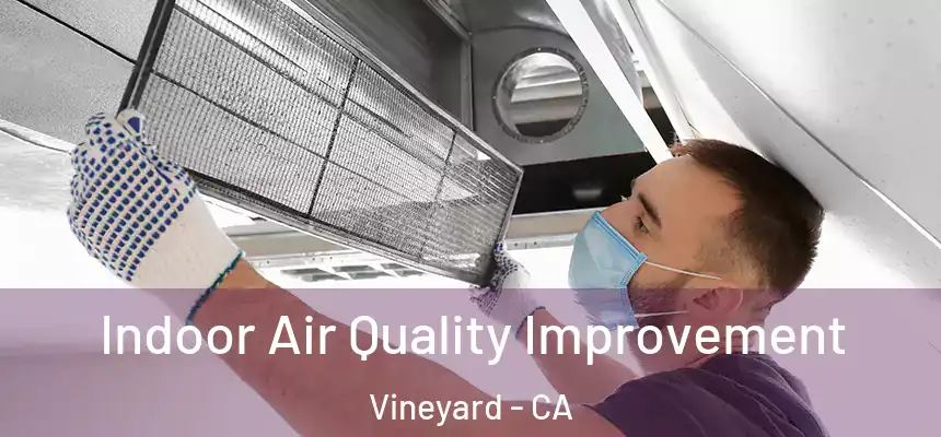  Indoor Air Quality Improvement Vineyard - CA