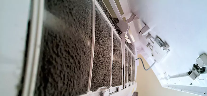 Preventive Air Duct Bacteria Removal in Vineyard