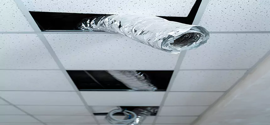 Affordable HVAC Sanitizing After Pest Removal in Vineyard