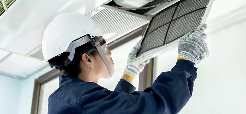 Our Mold & Mildew Removal from Air Ducts Services in Vineyard, CA