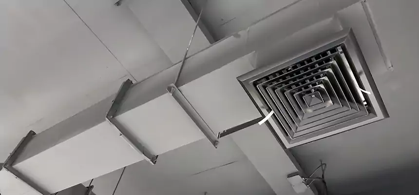 Our Rodent Droppings In Vents Services in Vineyard, CA