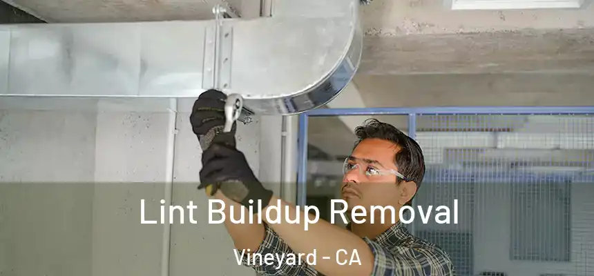  Lint Buildup Removal Vineyard - CA