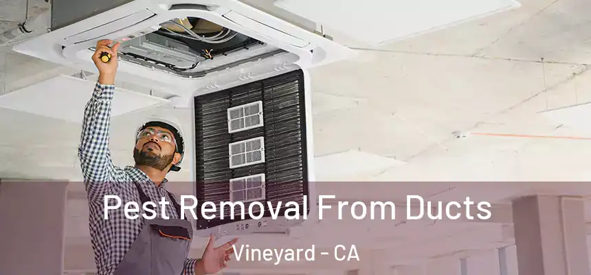 Pest Removal From Ducts Vineyard - CA