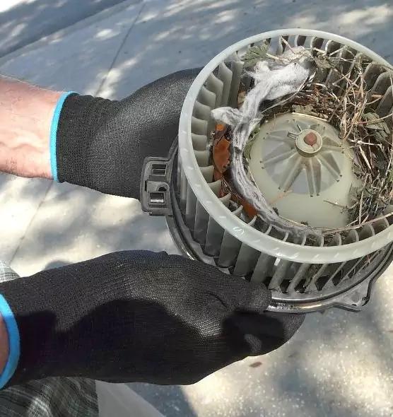 About Air Duct Mice Removal in Vineyard, CA