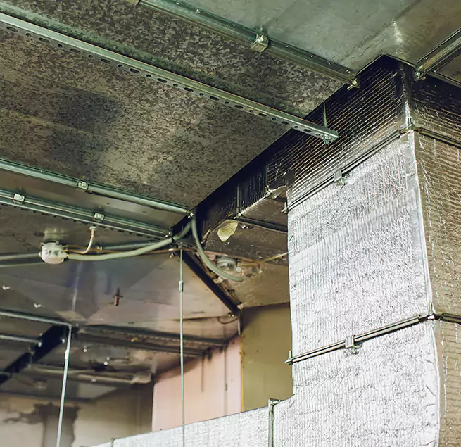 Why Homeowners & Businesses Trust Us in Vineyard, CA?